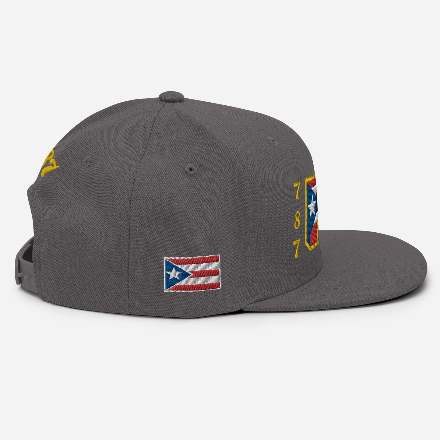 PR 787 (AUTHENTIC SNAPBACK)