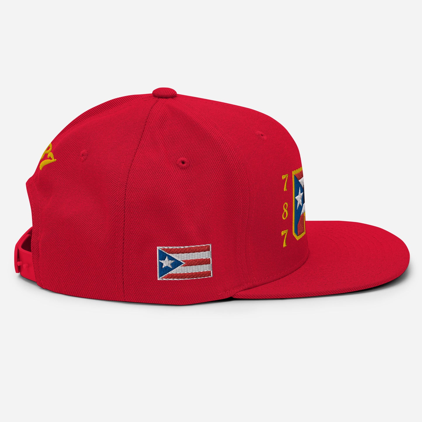 PR 787 (AUTHENTIC SNAPBACK)