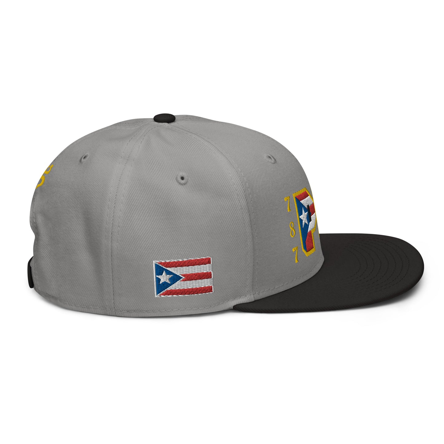 PR 787 (2) (ORIGINAL SNAPBACK HAT)