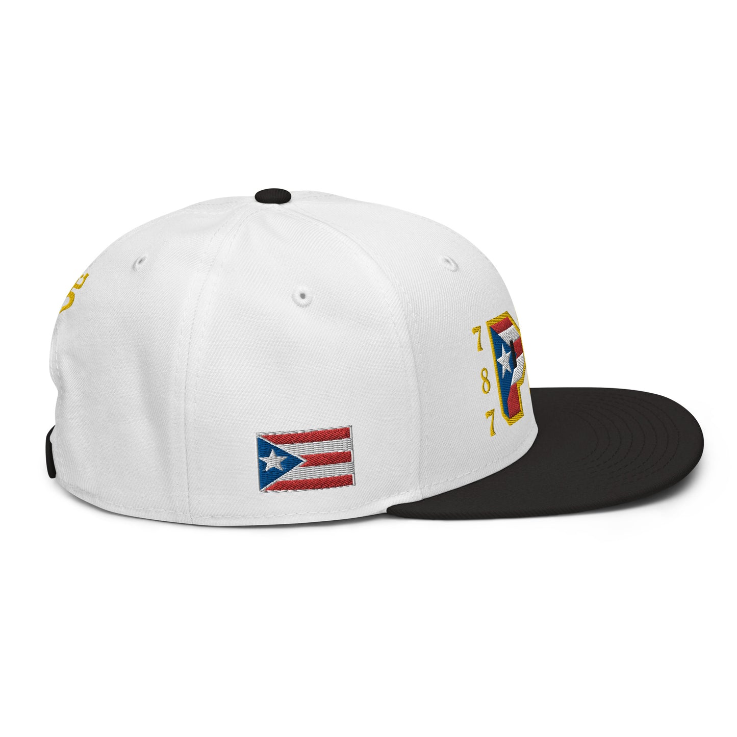 PR 787 (2) (ORIGINAL SNAPBACK HAT)