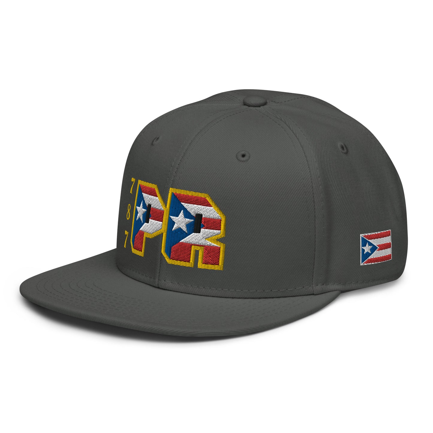 PR 787 (2) (ORIGINAL SNAPBACK HAT)