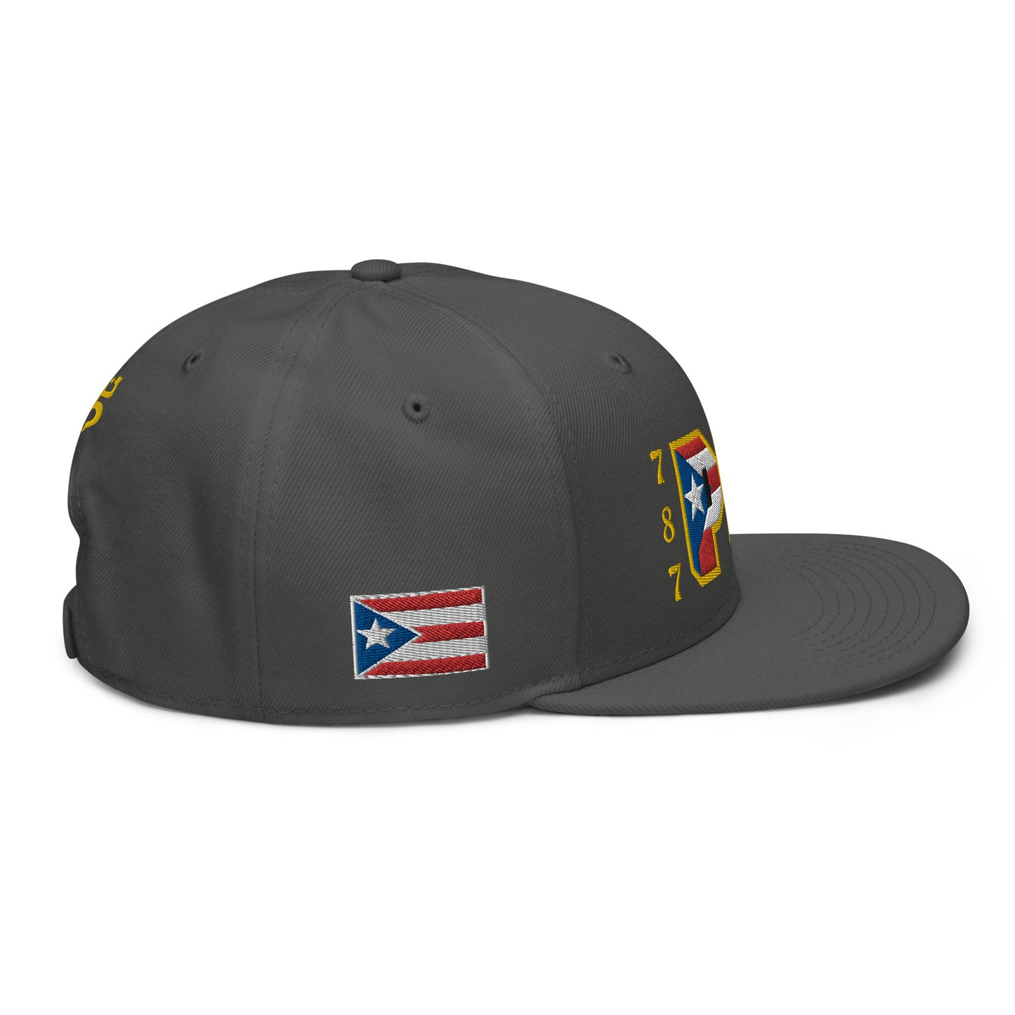 PR 787 (2) (ORIGINAL SNAPBACK HAT)