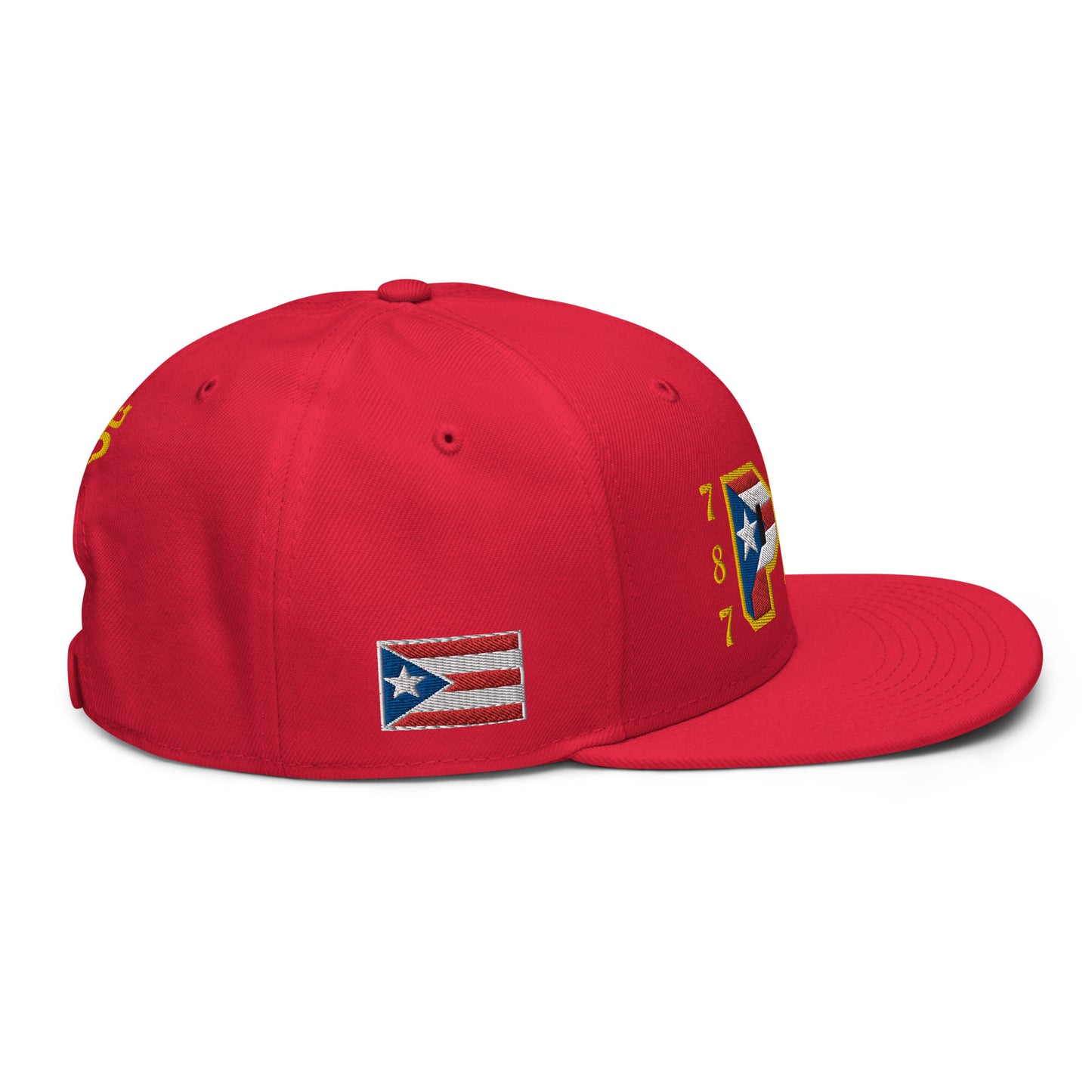 PR 787 (2) (ORIGINAL SNAPBACK HAT)