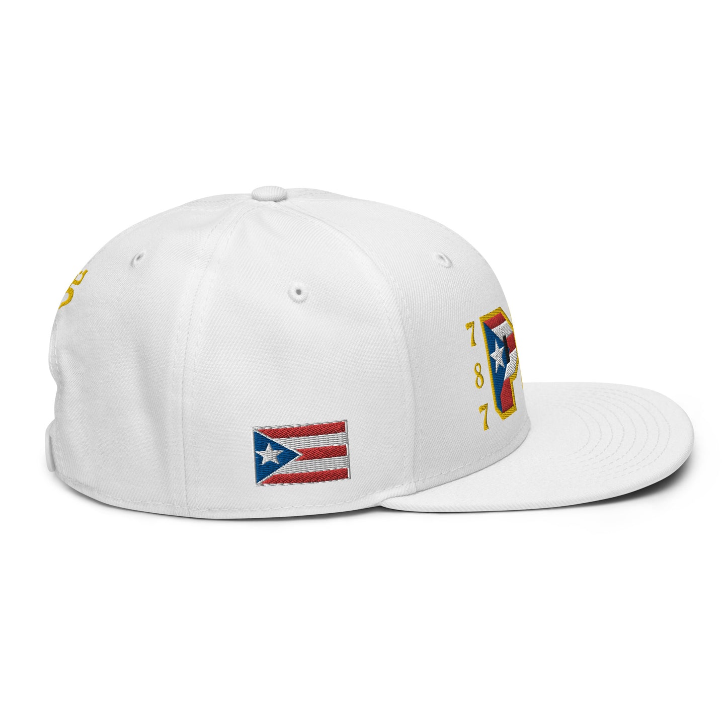 PR 787 (2) (ORIGINAL SNAPBACK HAT)