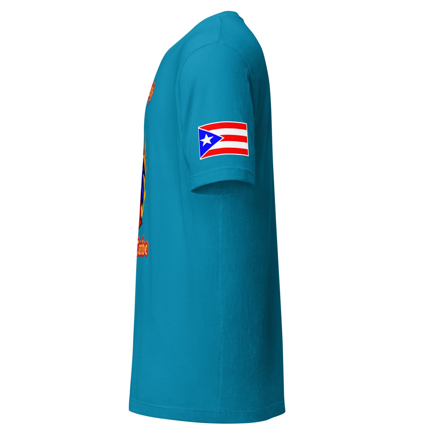 PASO FINO - EL FUEGO DEL CARIBE