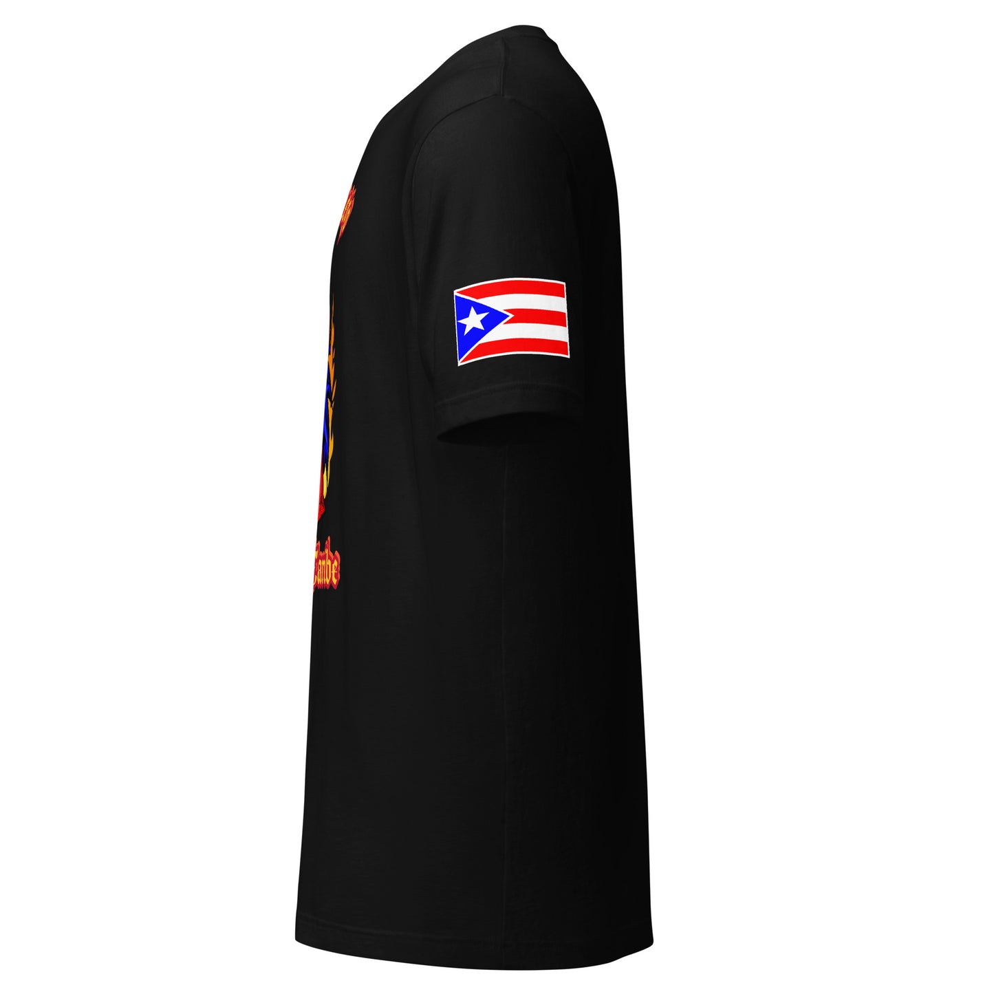 PASO FINO - EL FUEGO DEL CARIBE