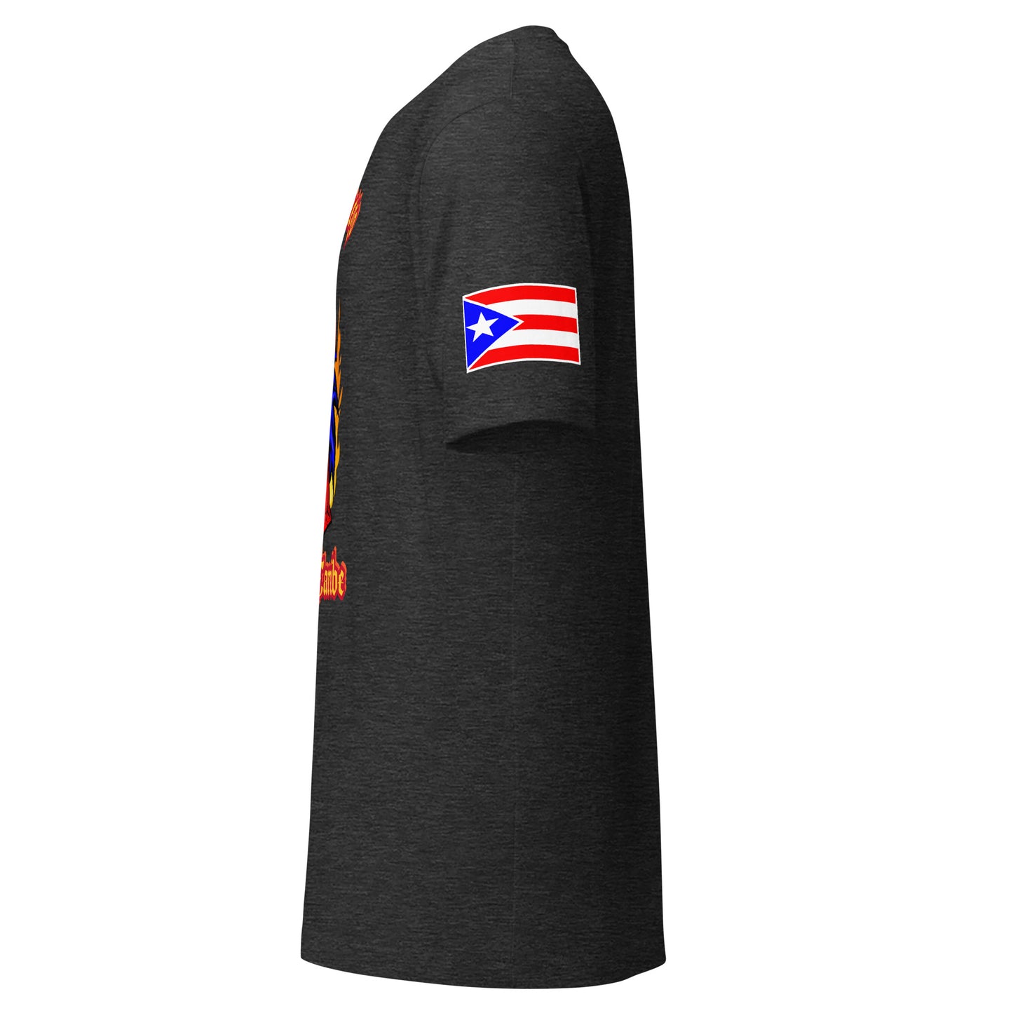 PASO FINO - EL FUEGO DEL CARIBE