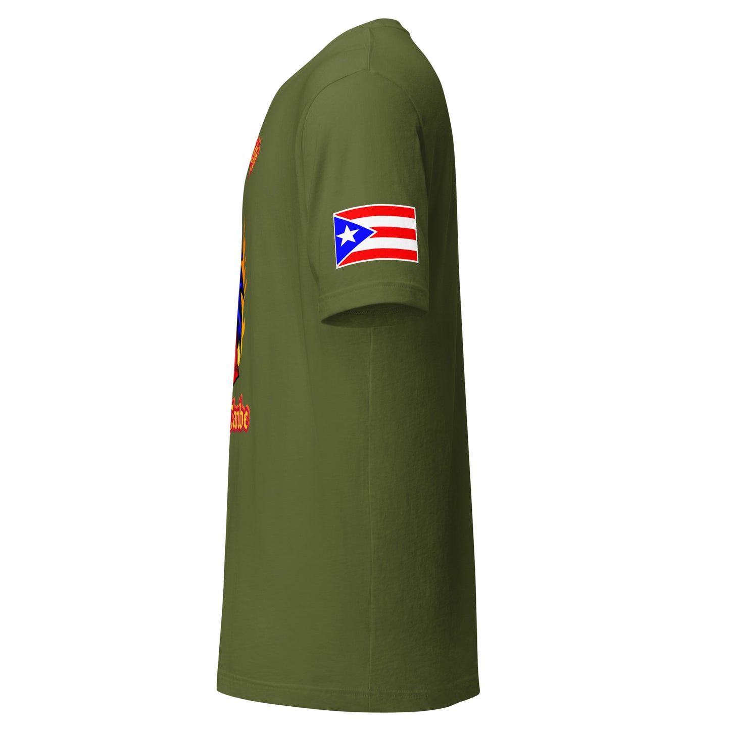PASO FINO - EL FUEGO DEL CARIBE