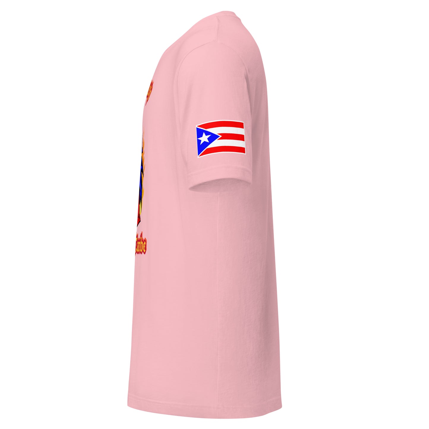 PASO FINO - EL FUEGO DEL CARIBE