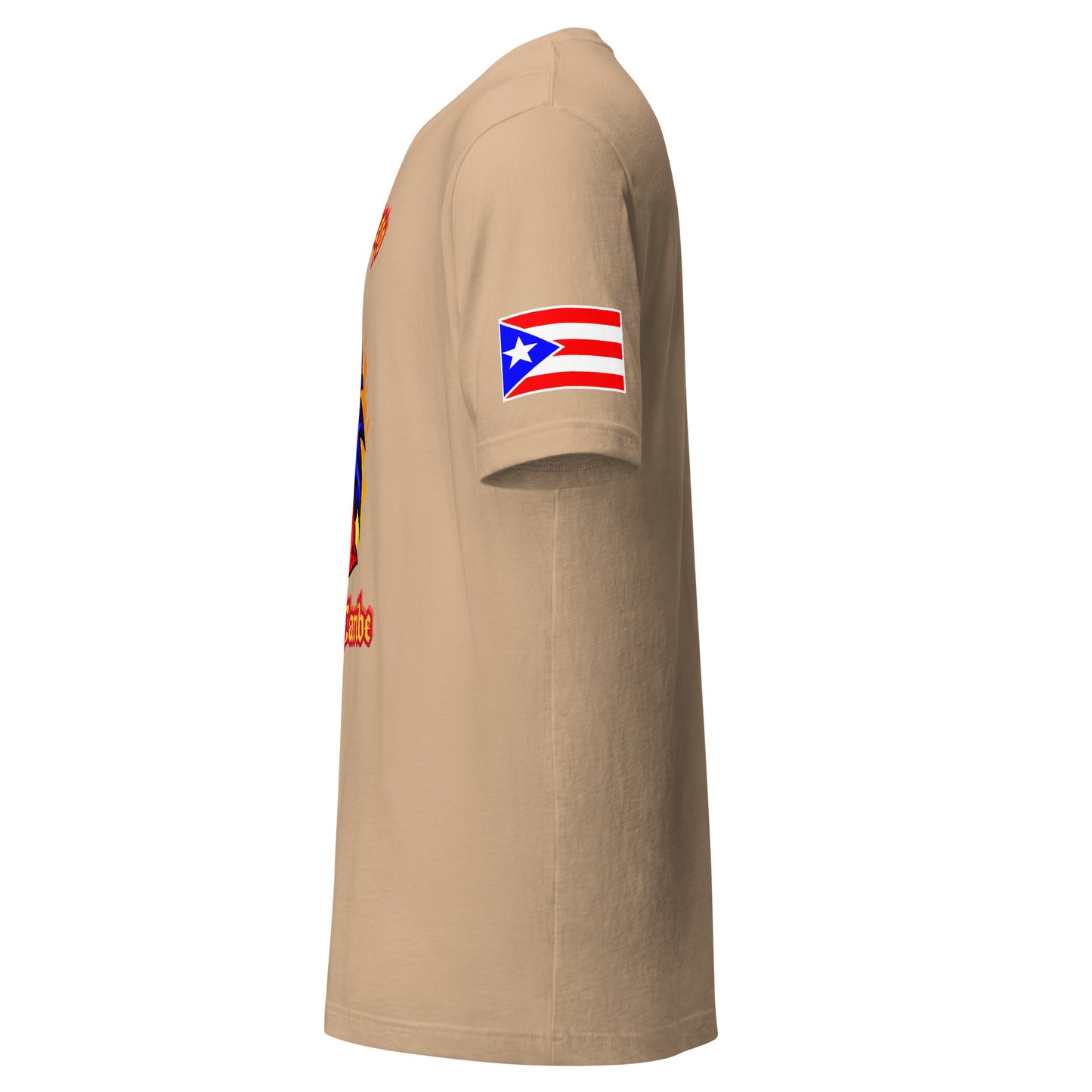 PASO FINO - EL FUEGO DEL CARIBE