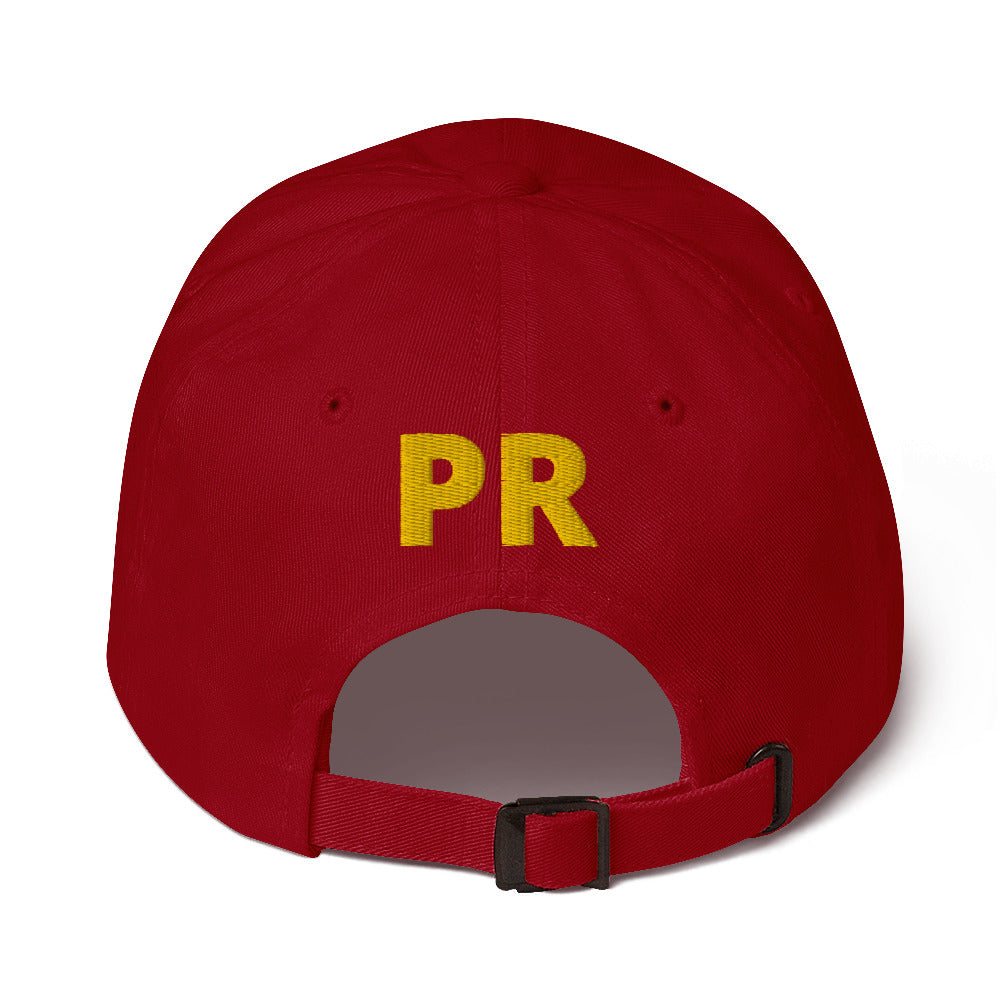 MR. TAINO - PR OWL (CLASSIC Dad Hat)