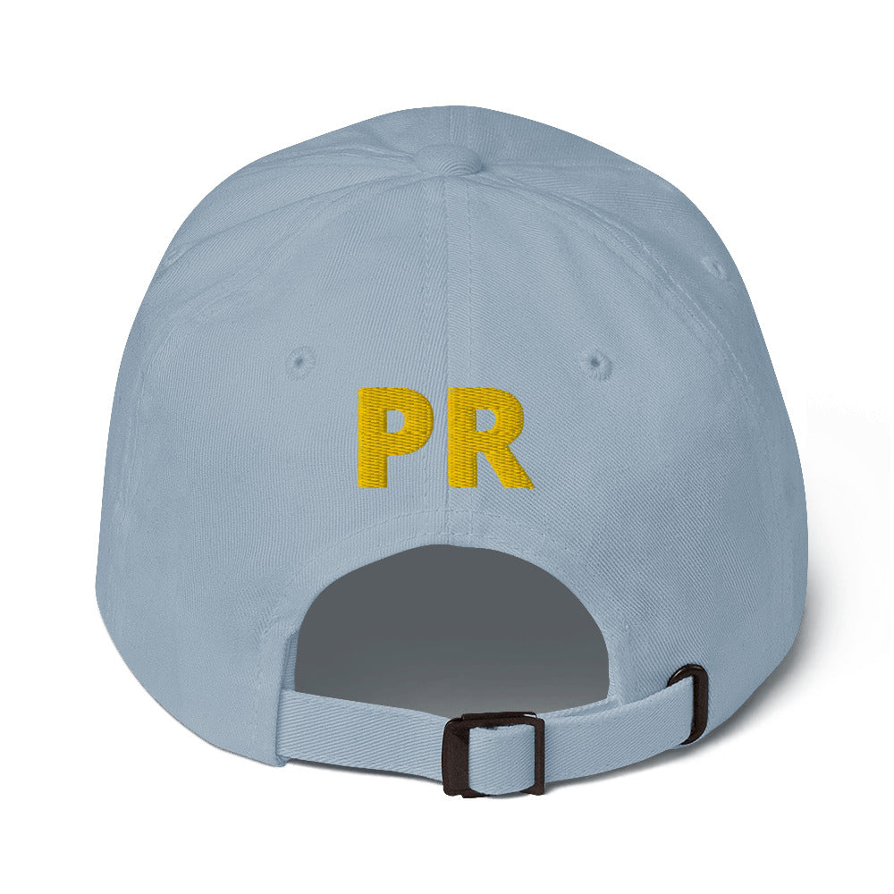 MR. TAINO - PR OWL (CLASSIC Dad Hat)