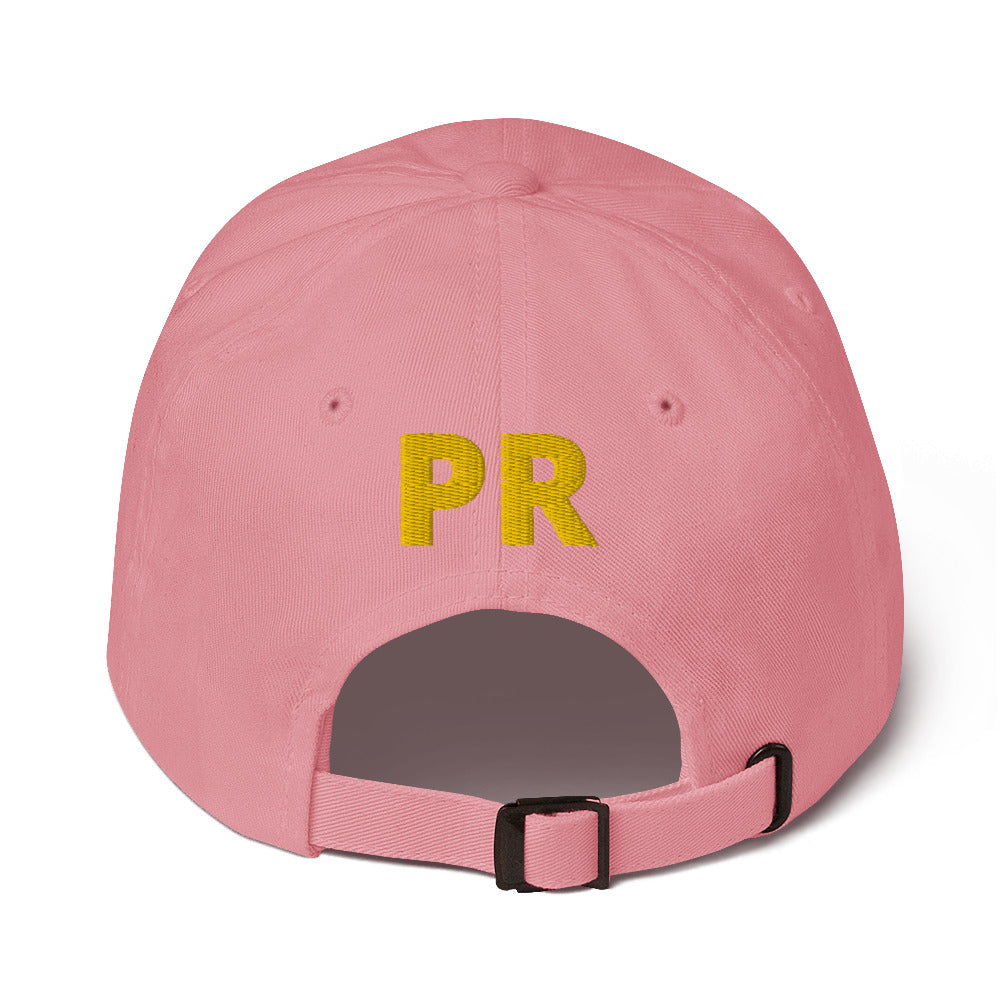 MR. TAINO - PR OWL (CLASSIC Dad Hat)