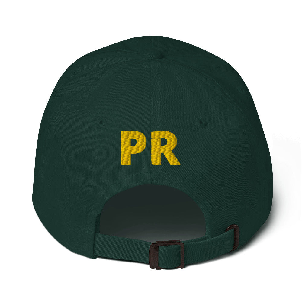 MR. TAINO - PR OWL (CLASSIC Dad Hat)