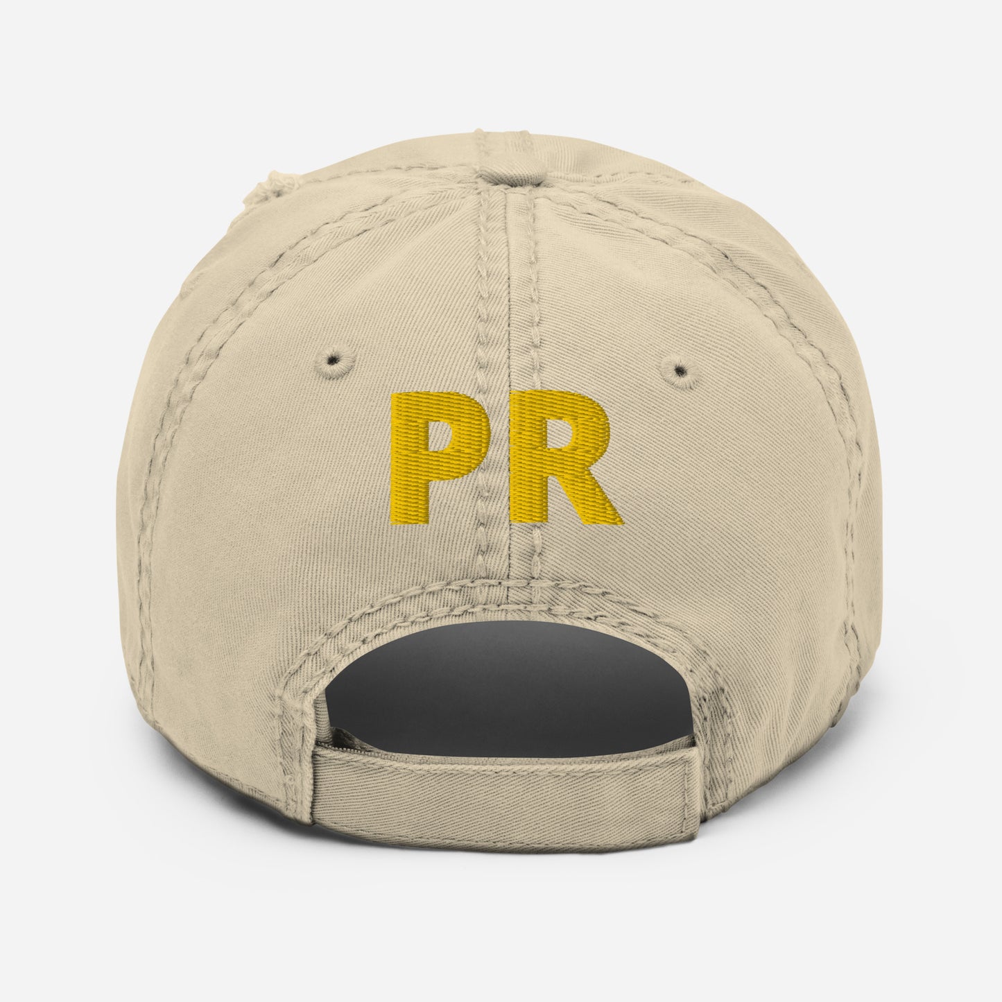 TAINO SOL - Distressed Dad Hat