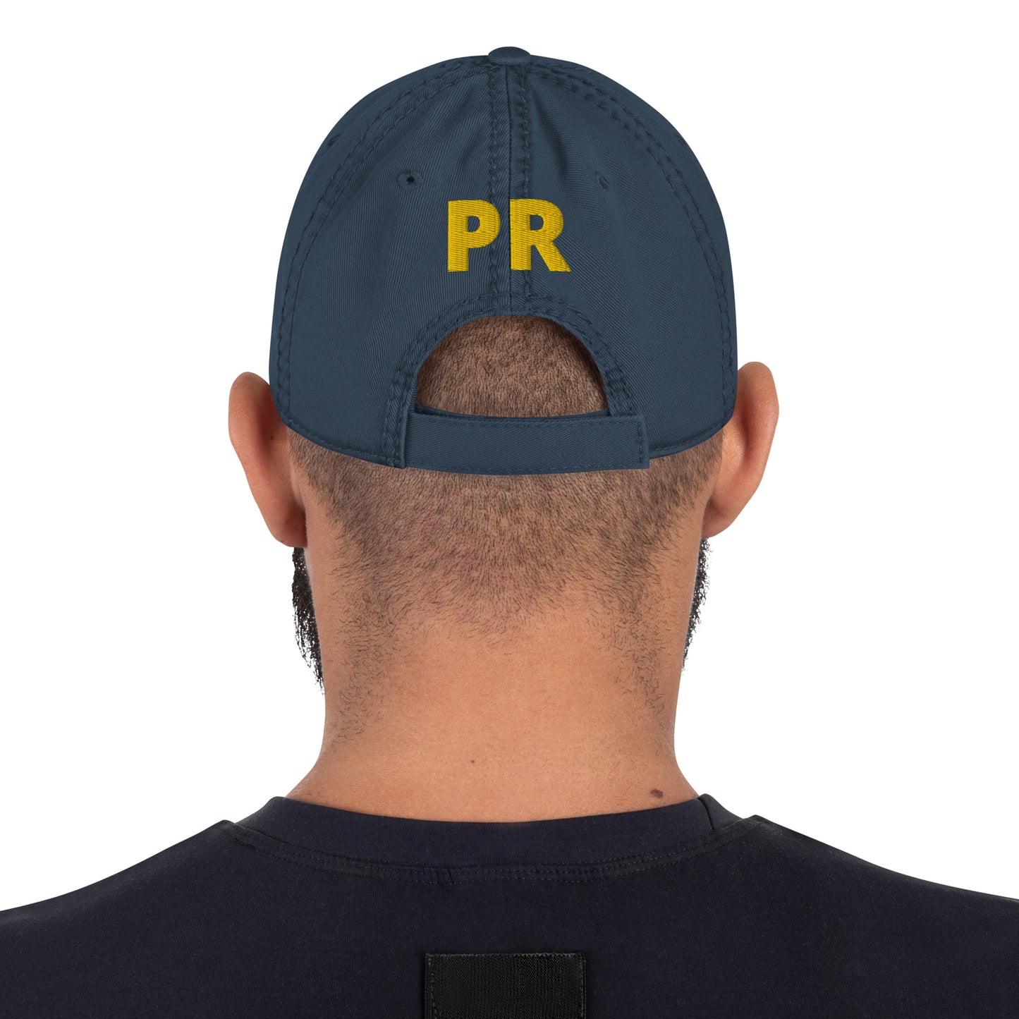 TAINO SOL - Distressed Dad Hat