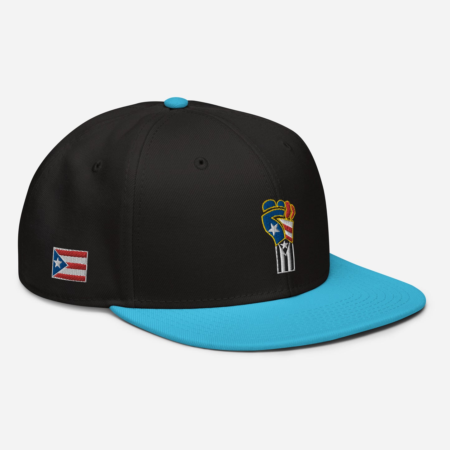 POWER RESISTANCE FIST (Snapback Hat)