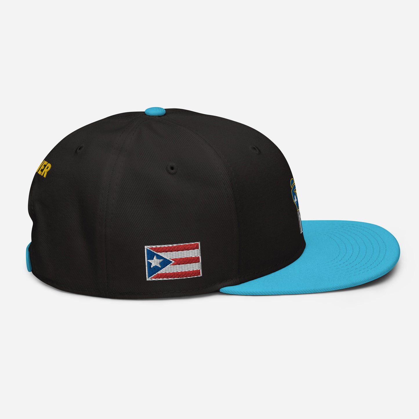 POWER RESISTANCE FIST (Snapback Hat)