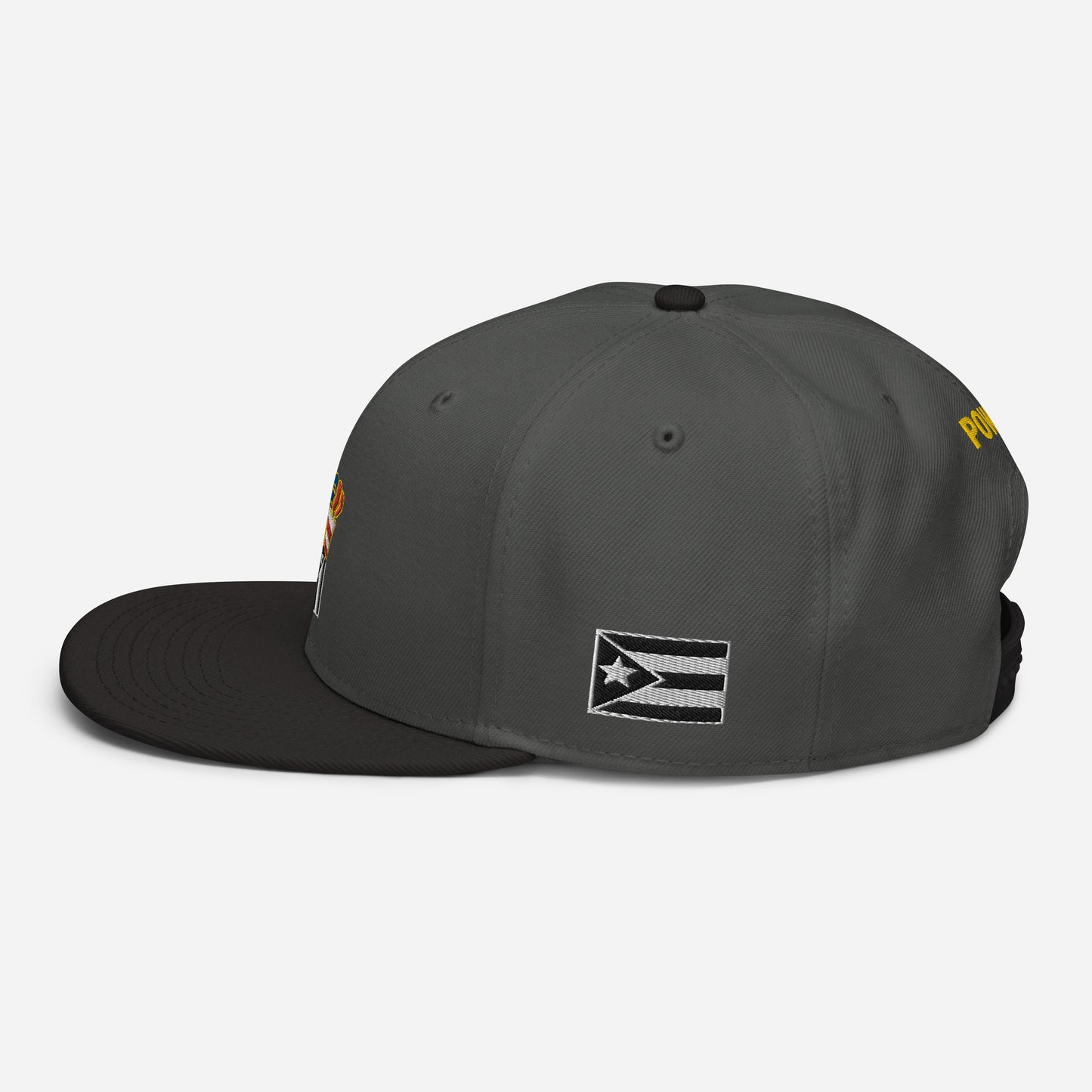 POWER RESISTANCE FIST (Snapback Hat)