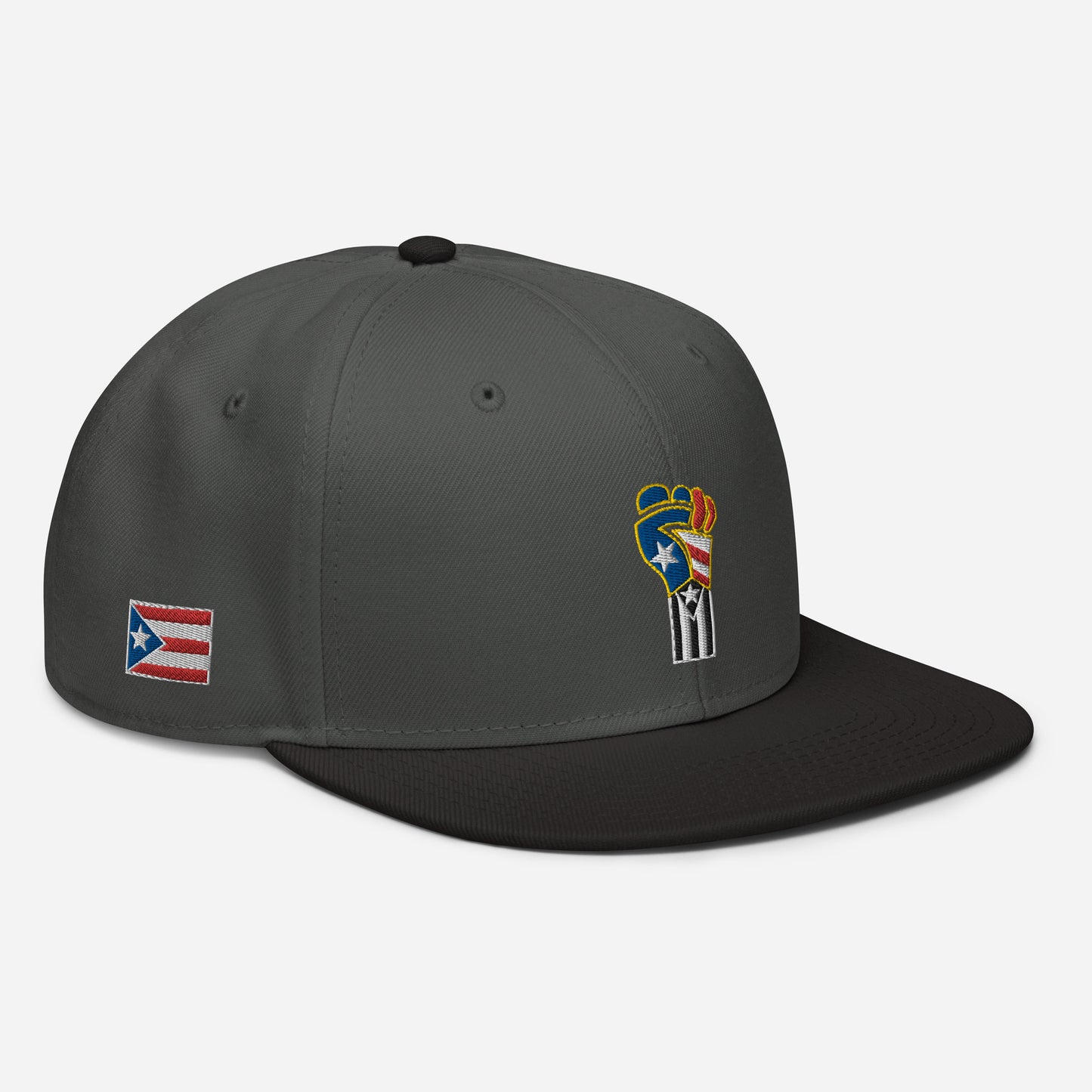 POWER RESISTANCE FIST (Snapback Hat)