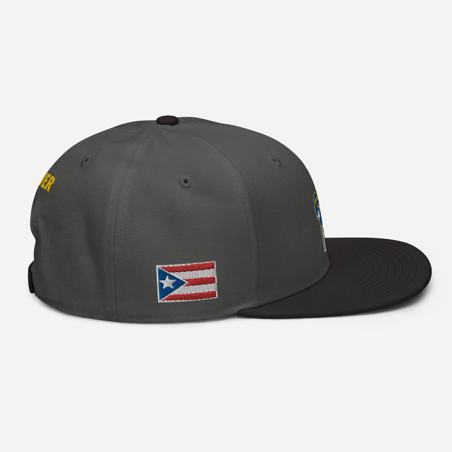 POWER RESISTANCE FIST (Snapback Hat)