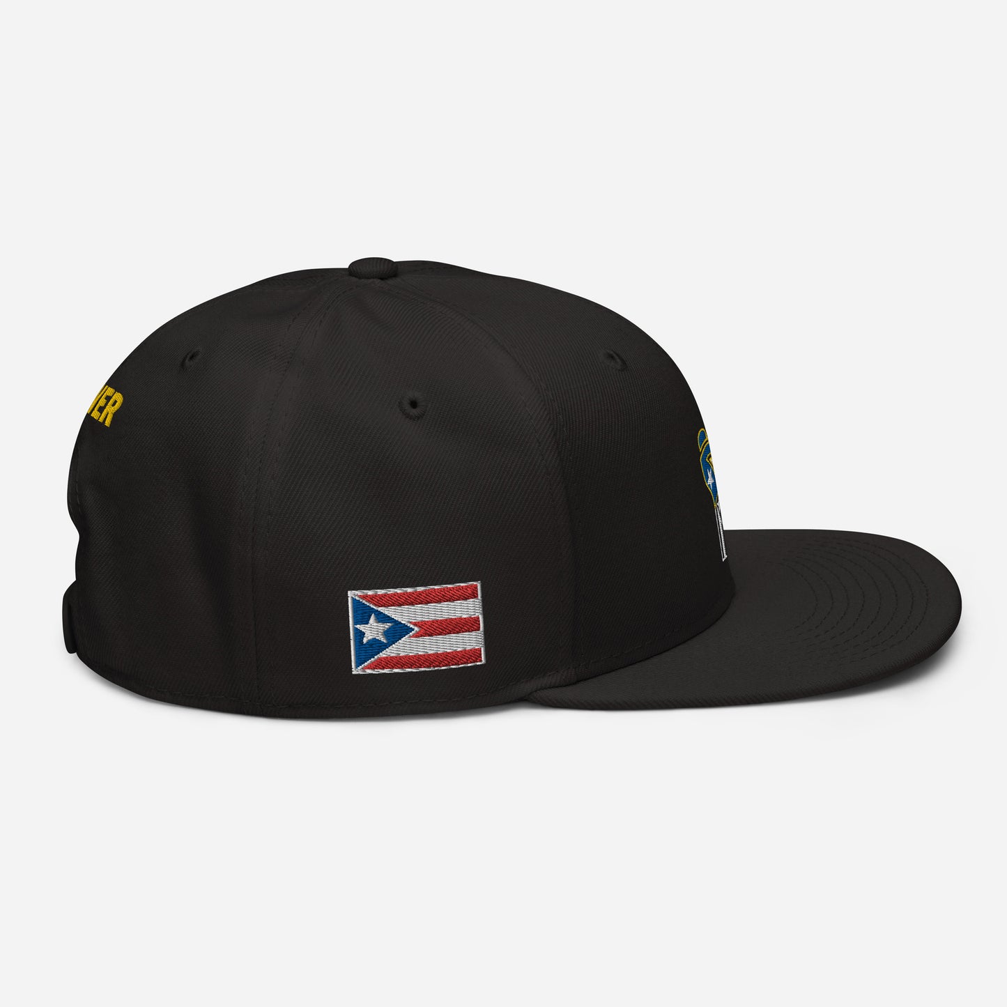 POWER RESISTANCE FIST (Snapback Hat)