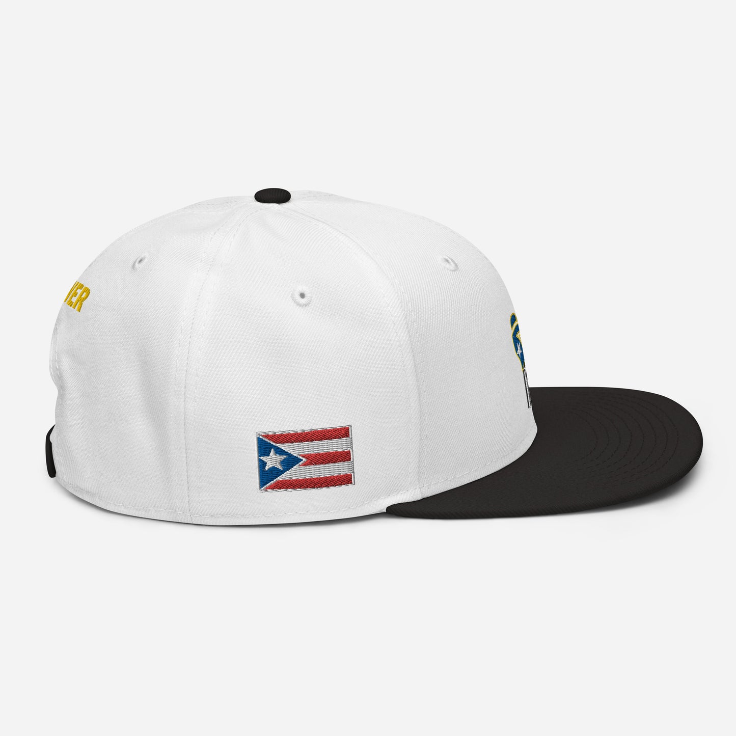 POWER RESISTANCE FIST (Snapback Hat)