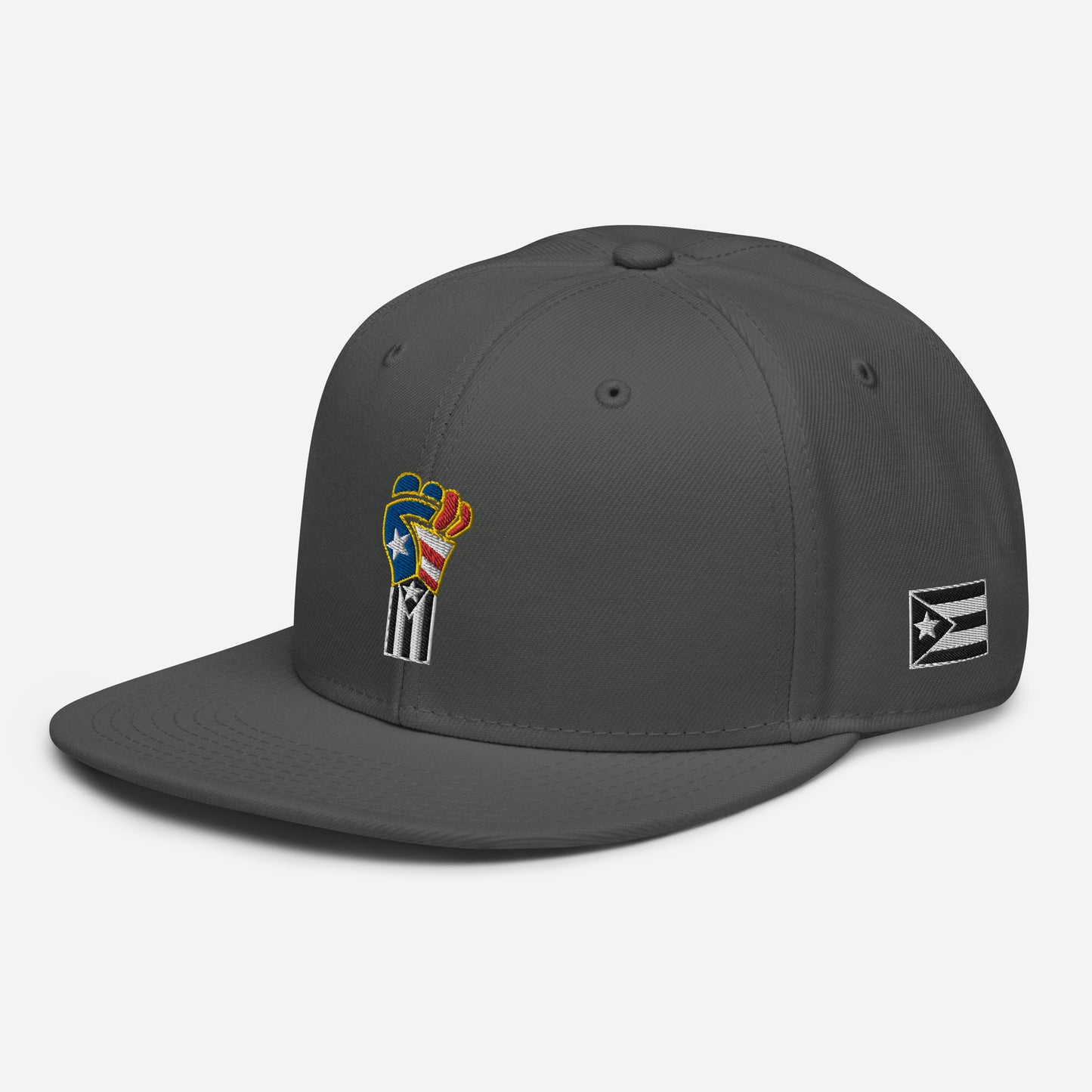 POWER RESISTANCE FIST (Snapback Hat)