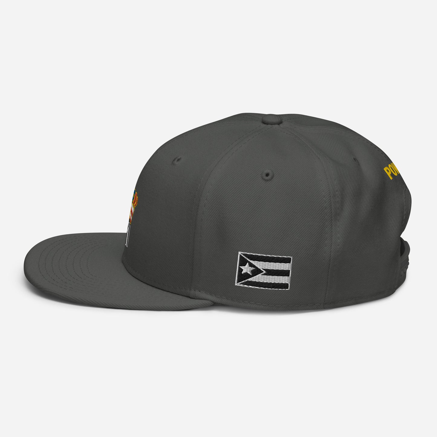 POWER RESISTANCE FIST (Snapback Hat)
