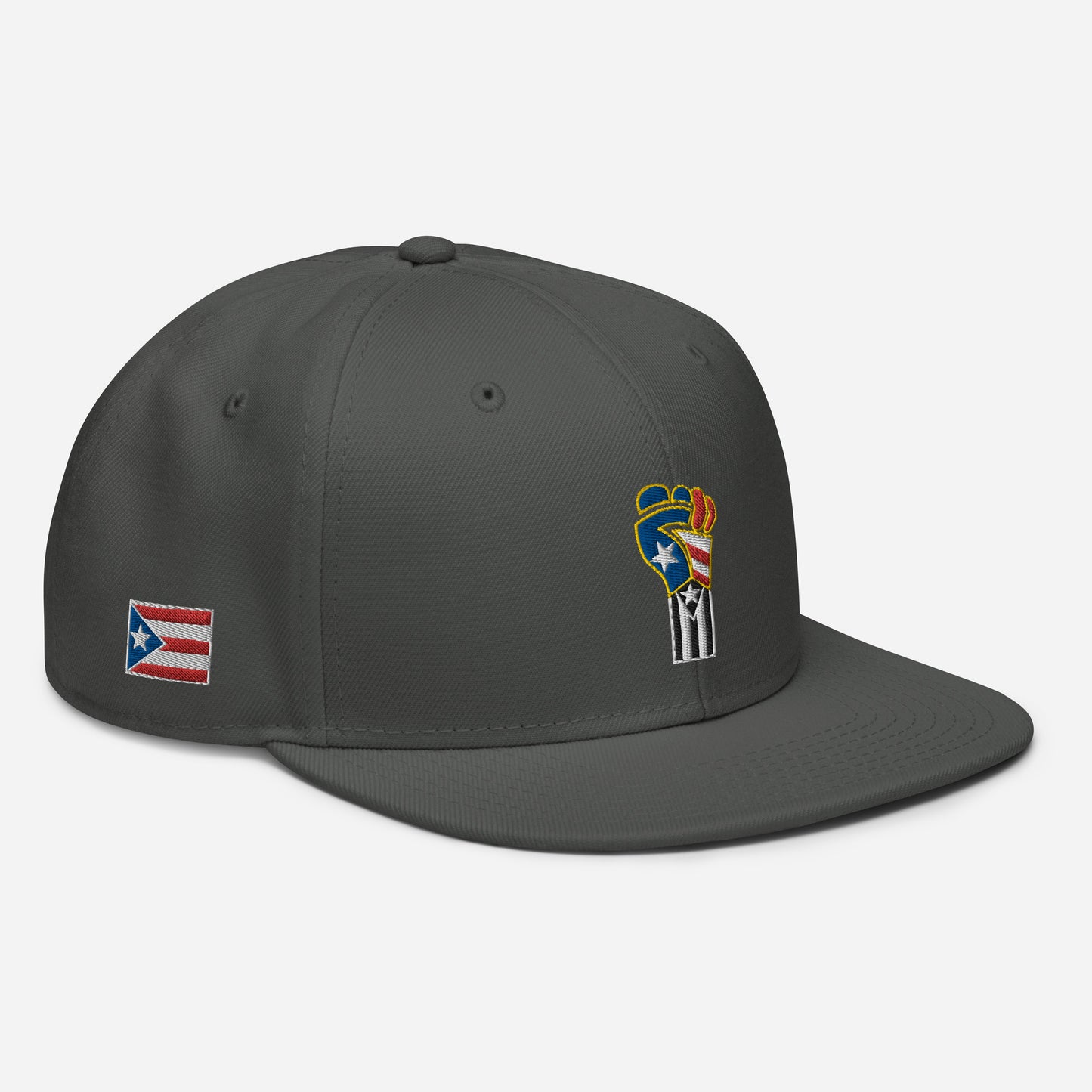 POWER RESISTANCE FIST (Snapback Hat)