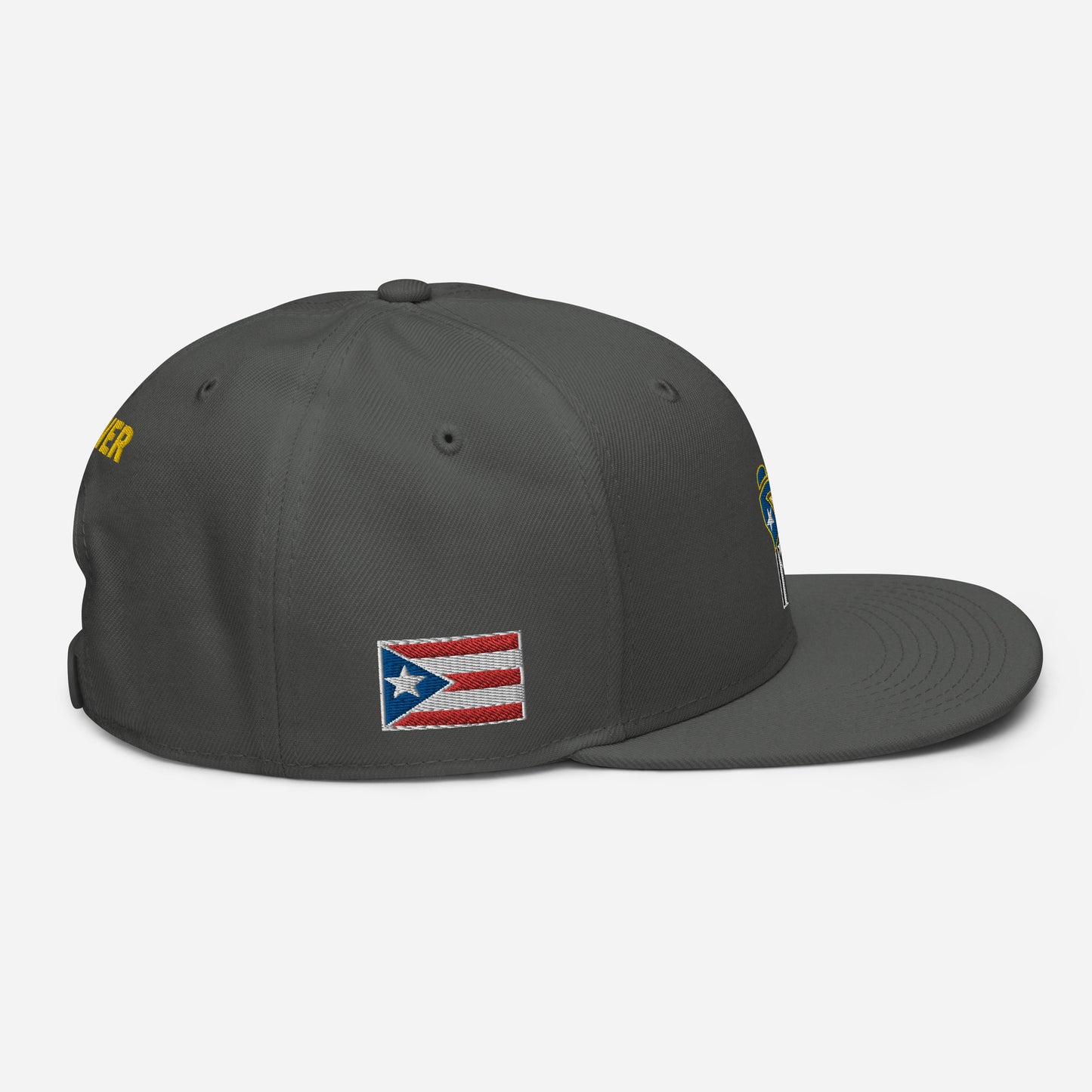 POWER RESISTANCE FIST (Snapback Hat)