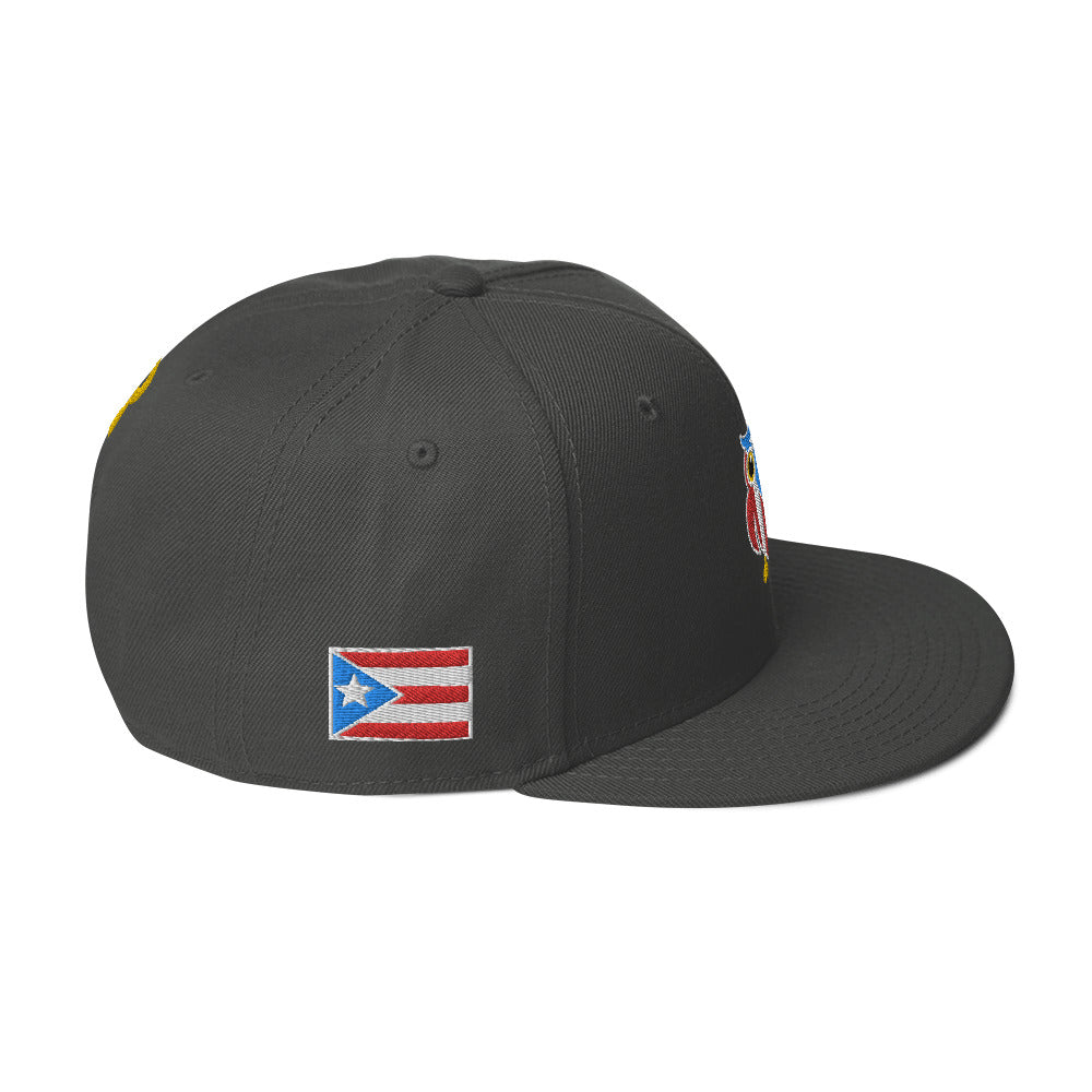 MR. TAINO - PR OWL (CLASSIC SNAPBACK)
