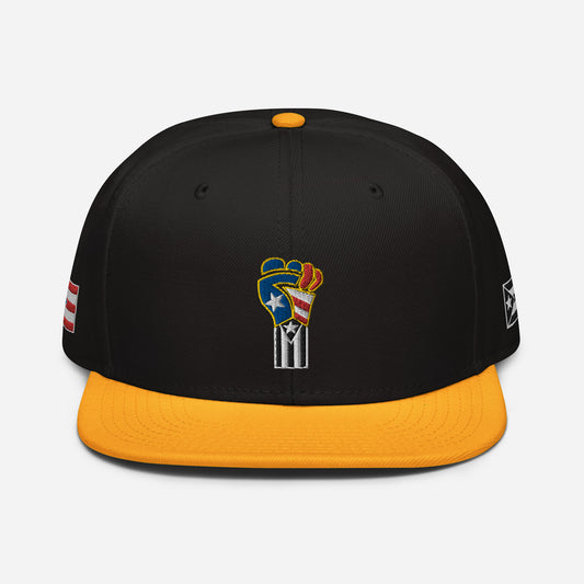 POWER RESISTANCE FIST (Snapback Hat)
