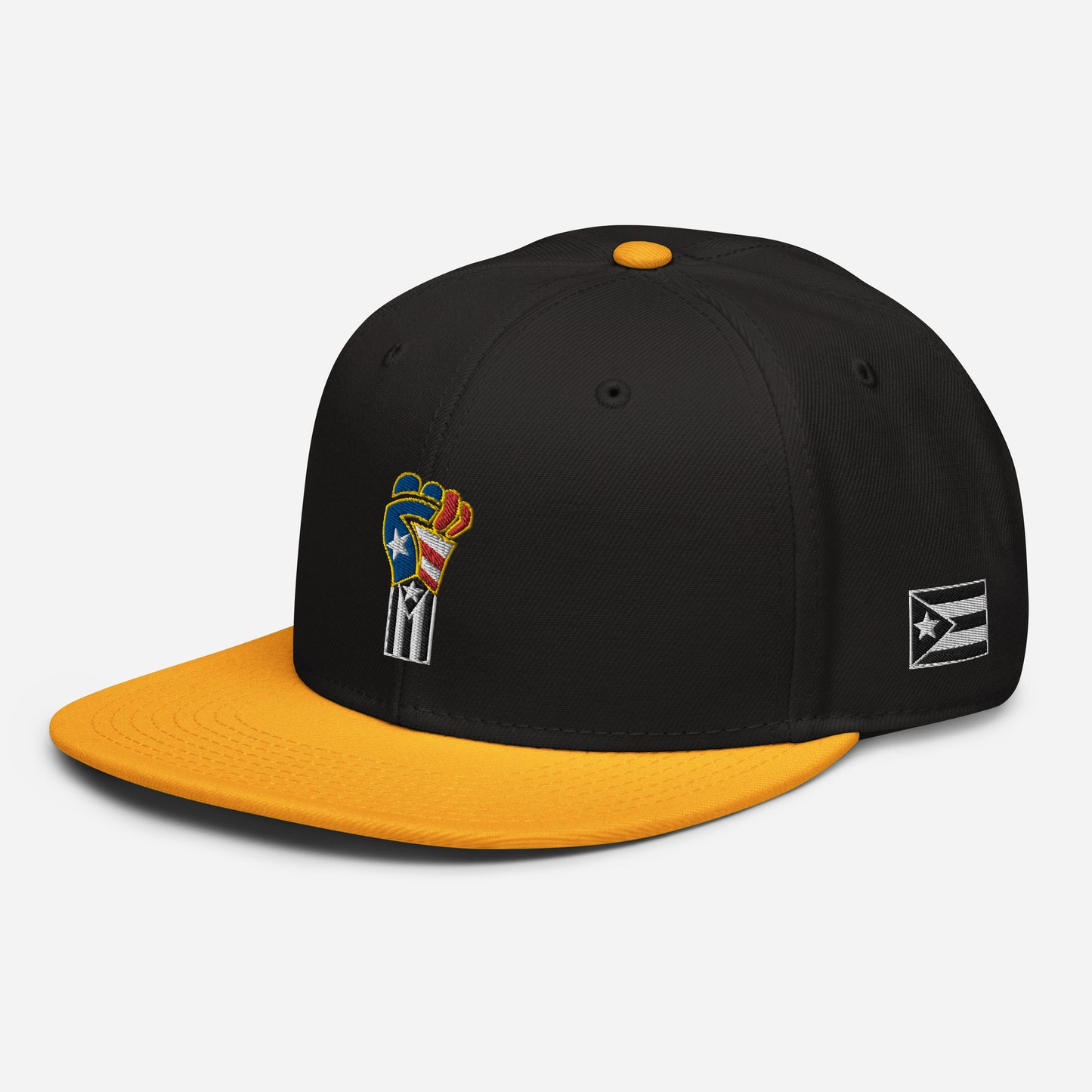 POWER RESISTANCE FIST (Snapback Hat)