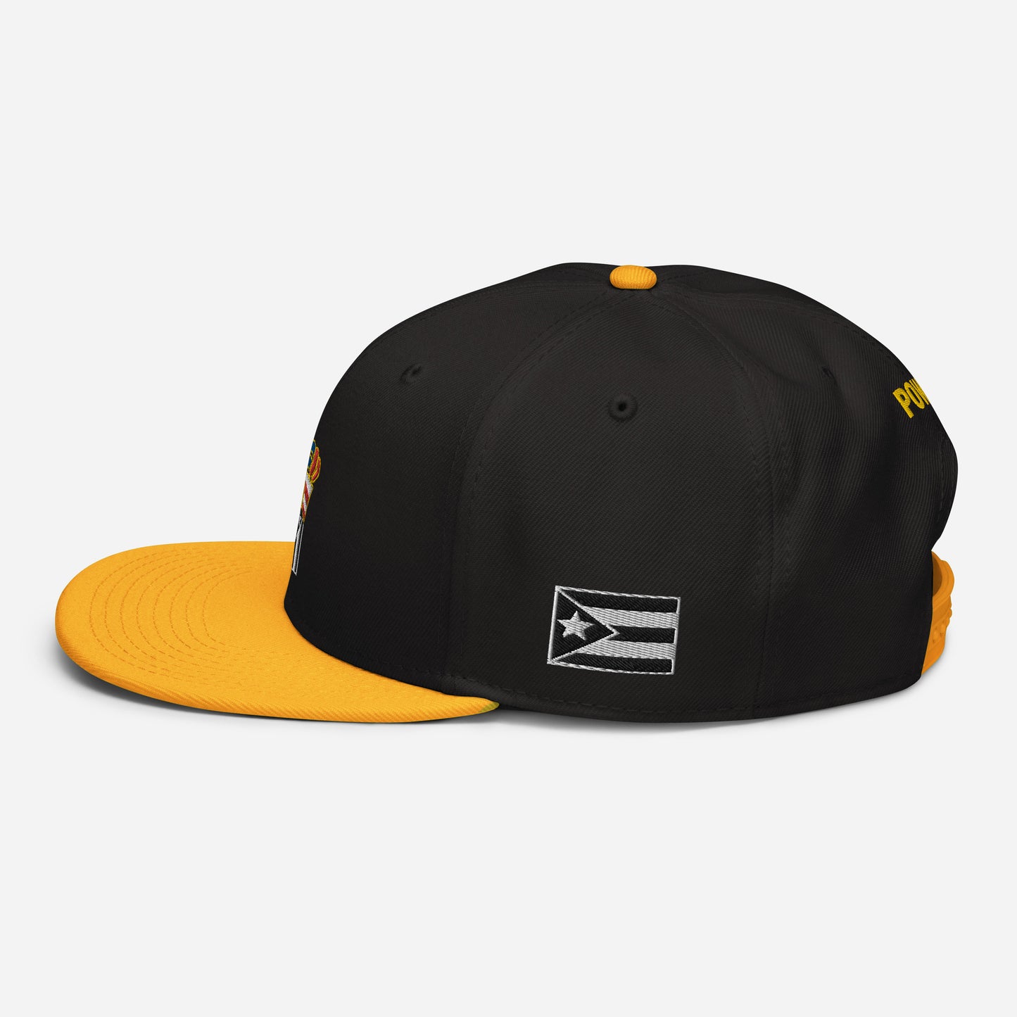 POWER RESISTANCE FIST (Snapback Hat)