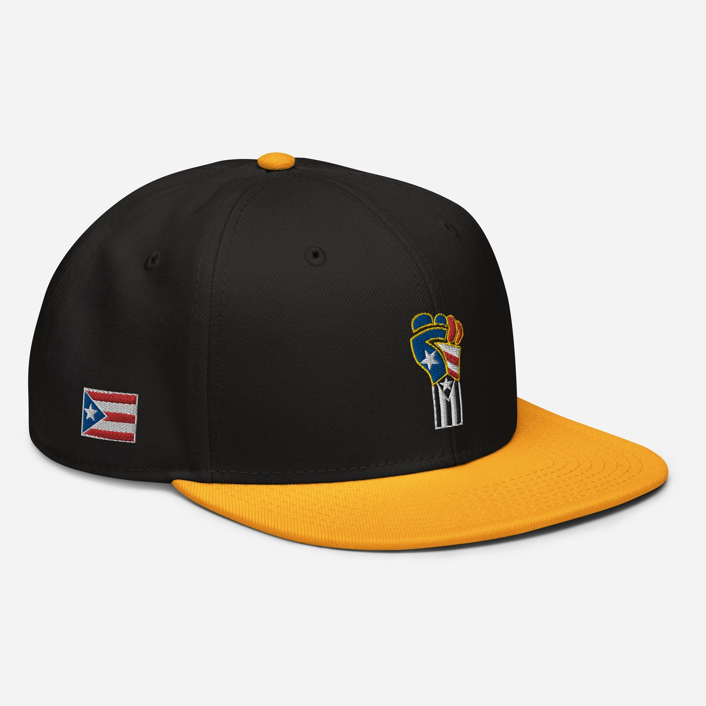 POWER RESISTANCE FIST (Snapback Hat)
