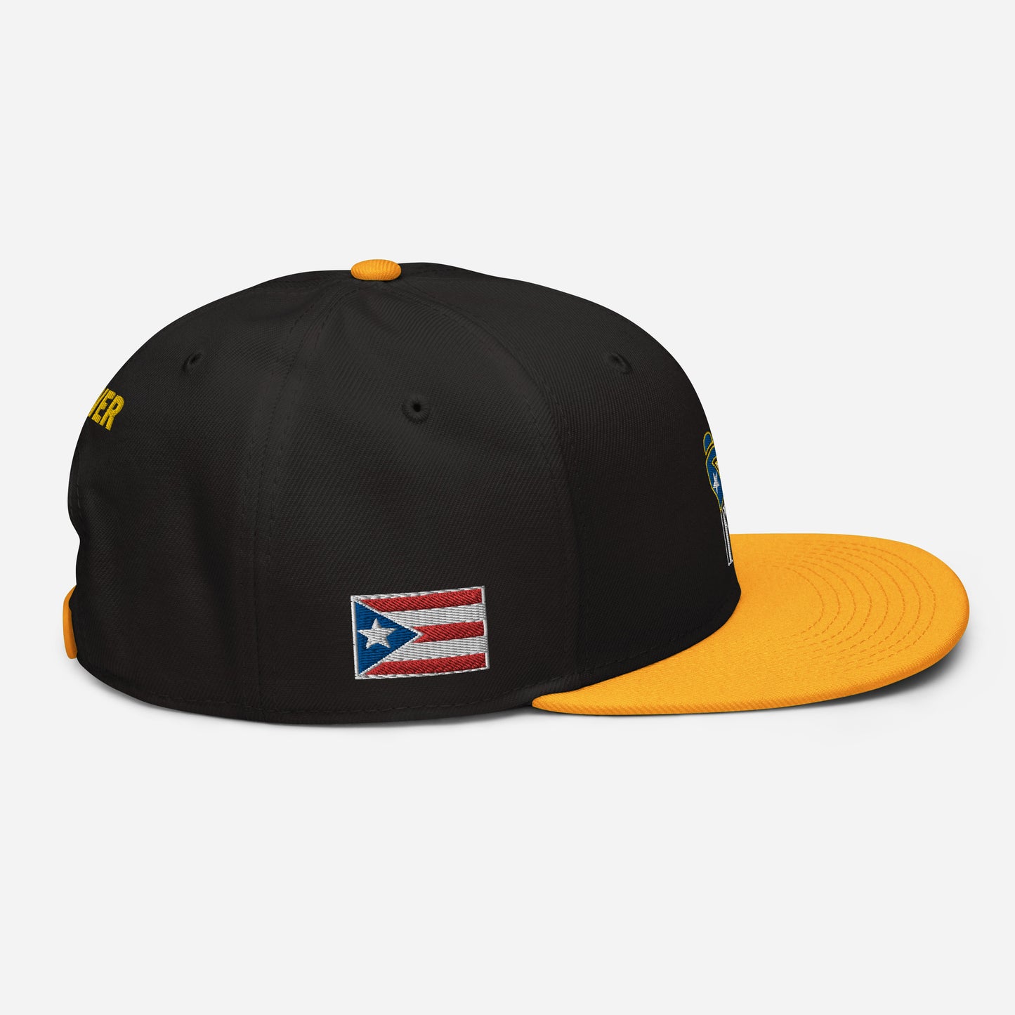 POWER RESISTANCE FIST (Snapback Hat)