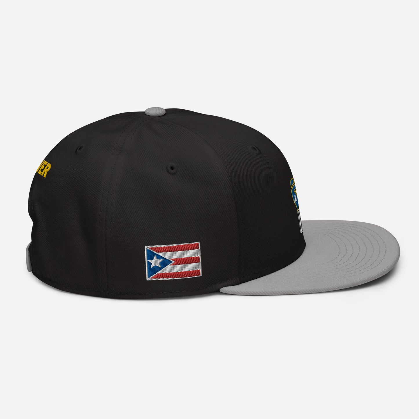 POWER RESISTANCE FIST (Snapback Hat)