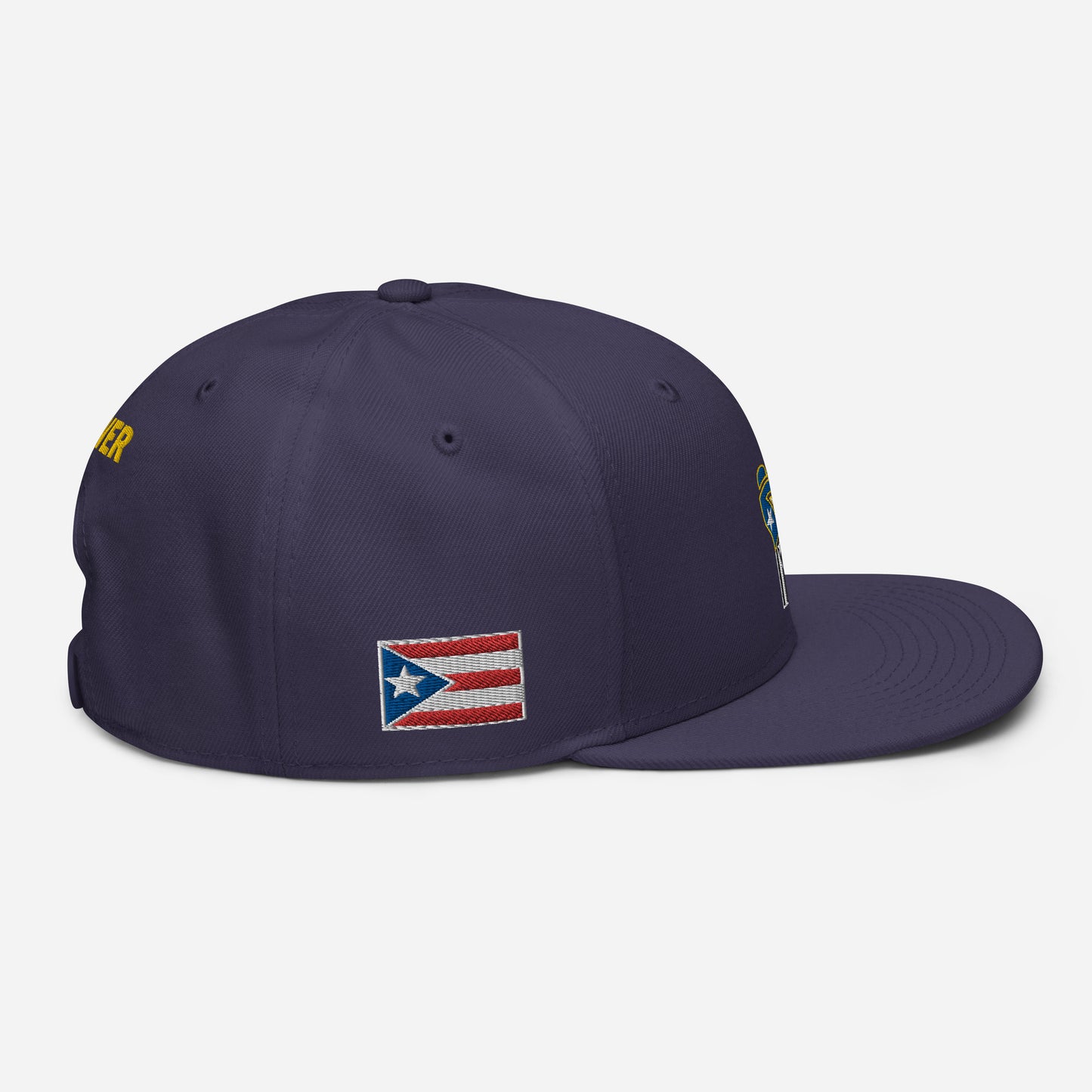 POWER RESISTANCE FIST (Snapback Hat)