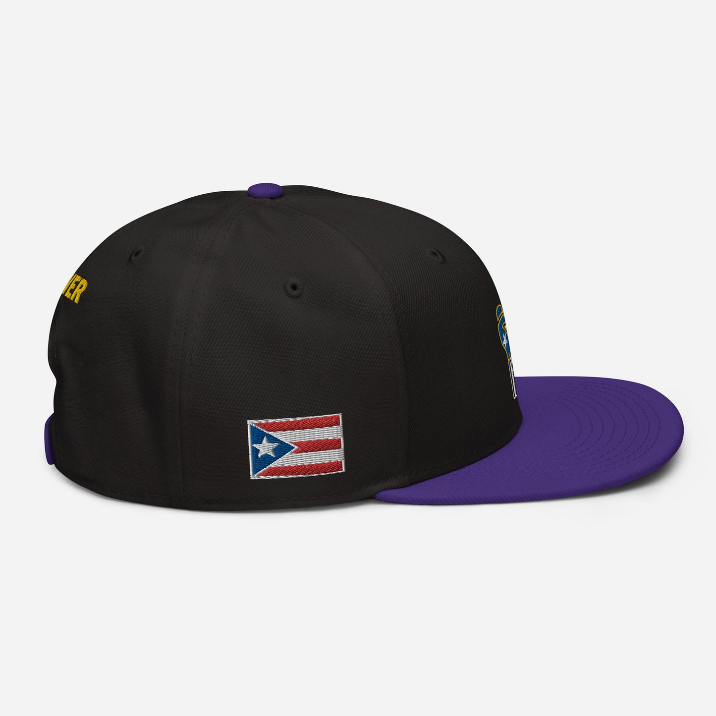 POWER RESISTANCE FIST (Snapback Hat)