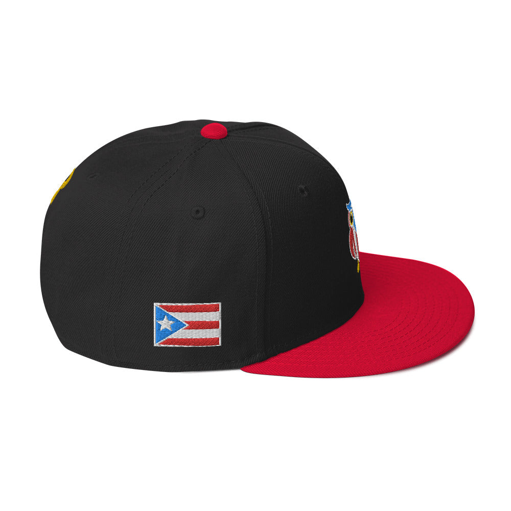 MR. TAINO - PR OWL (CLASSIC SNAPBACK)