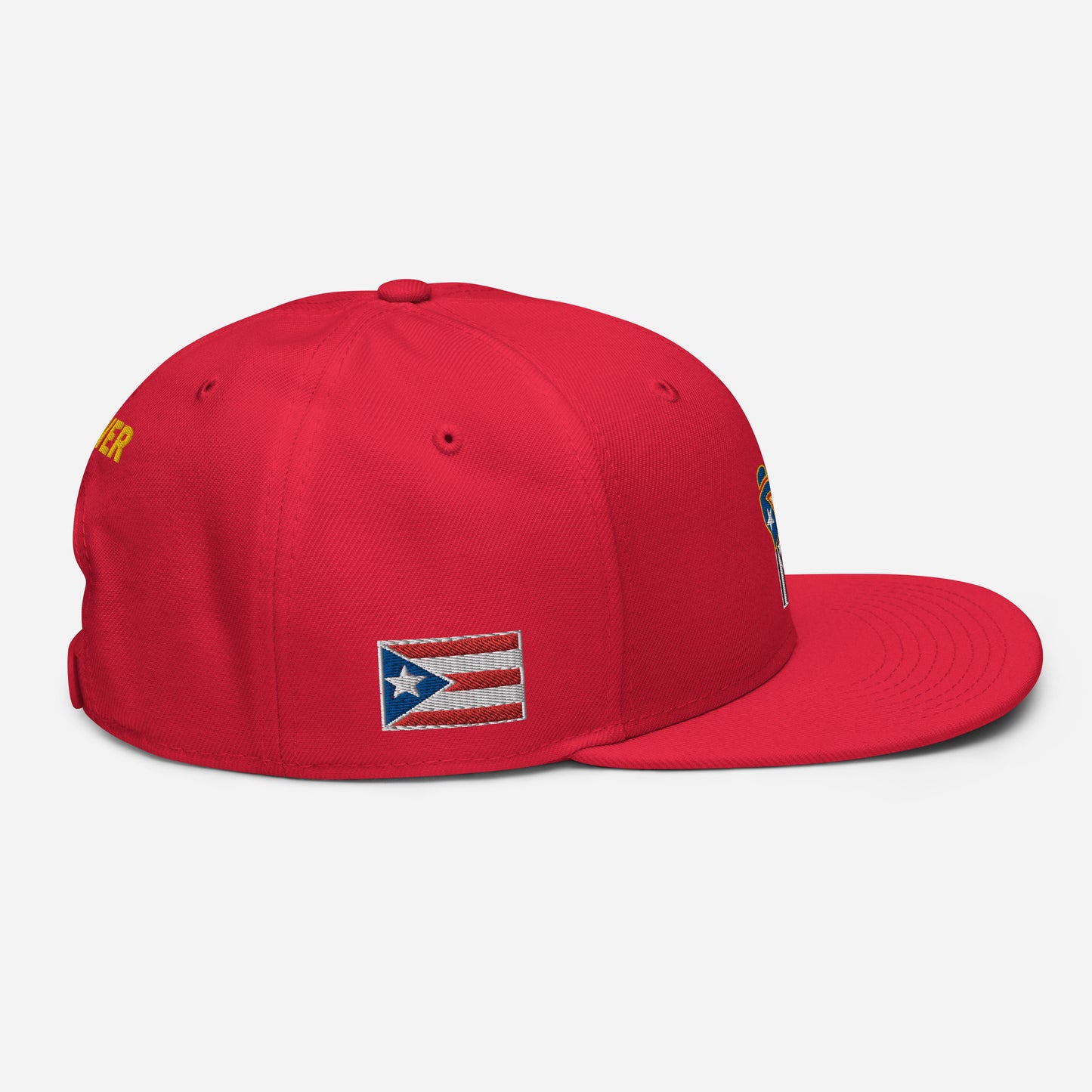 POWER RESISTANCE FIST (Snapback Hat)