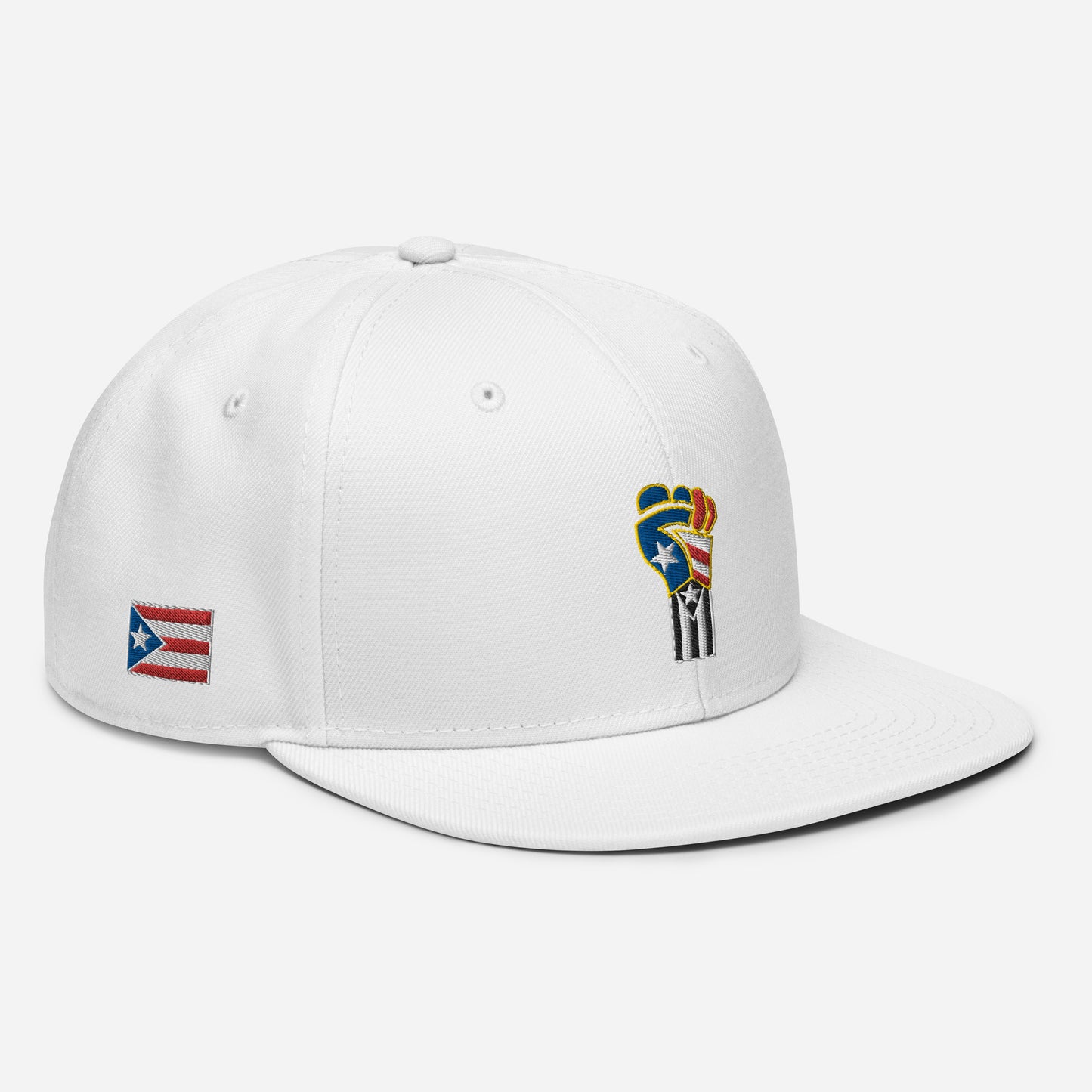 POWER RESISTANCE FIST (Snapback Hat)