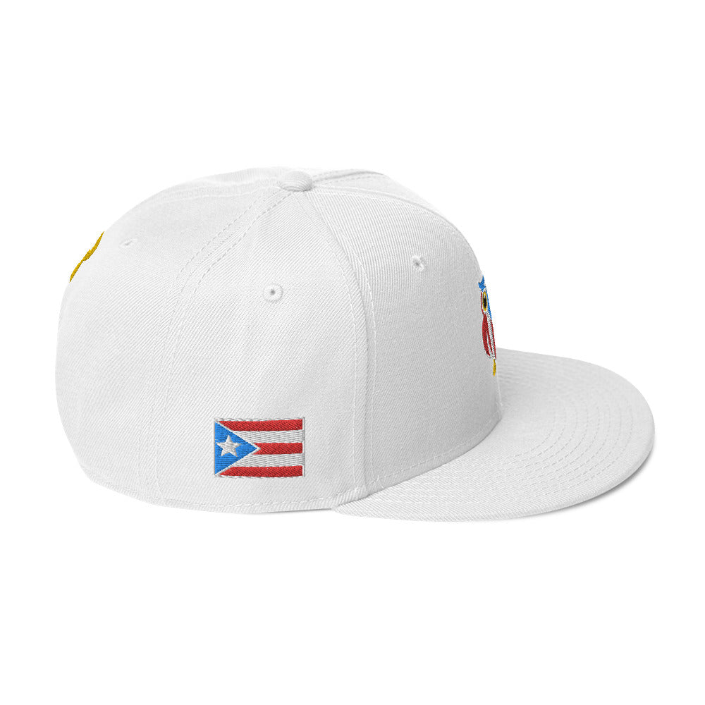 MR. TAINO - PR OWL (CLASSIC SNAPBACK)