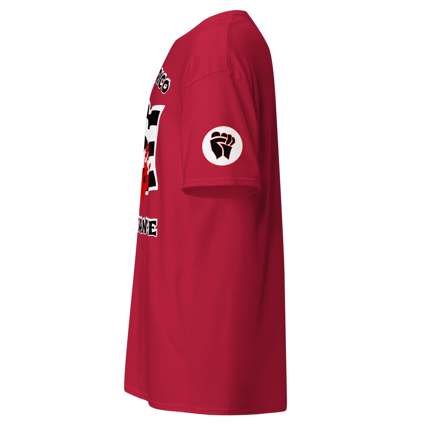 PR RESISTANCE FLAG '23 (CLASSIC TEE)