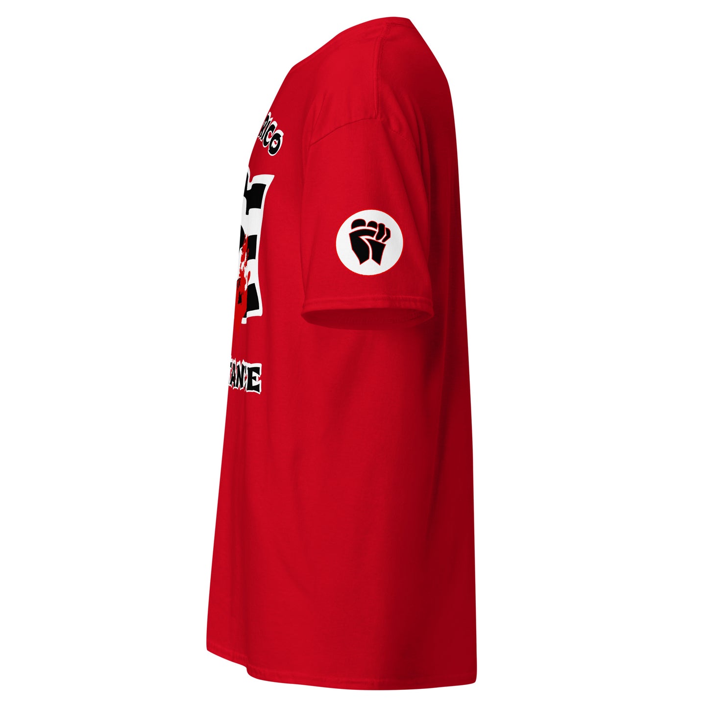 PR RESISTANCE FLAG '23 (CLASSIC TEE)