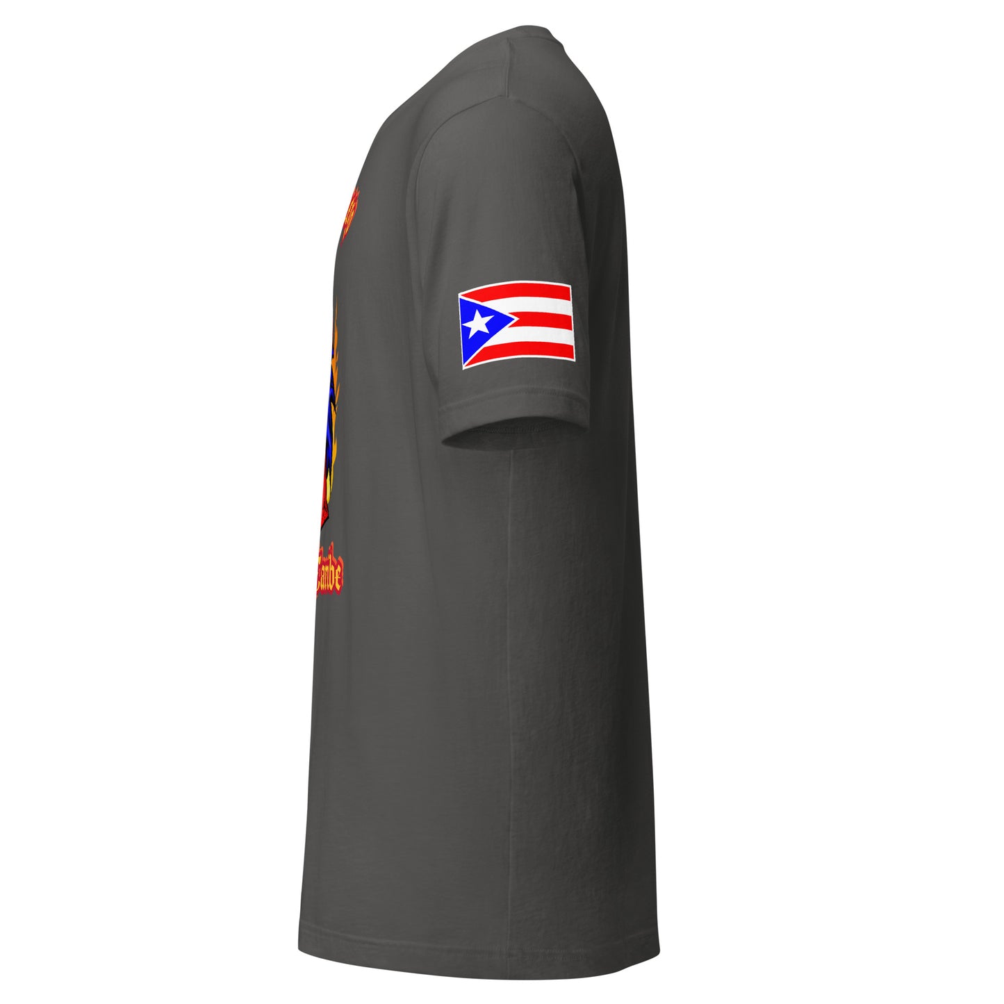 PASO FINO - EL FUEGO DEL CARIBE