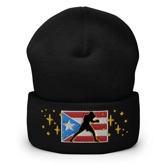 PR BOXER '22 - STARS (Cuffed Beanie)